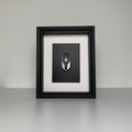 Cadre Maserati Cartist Carbone